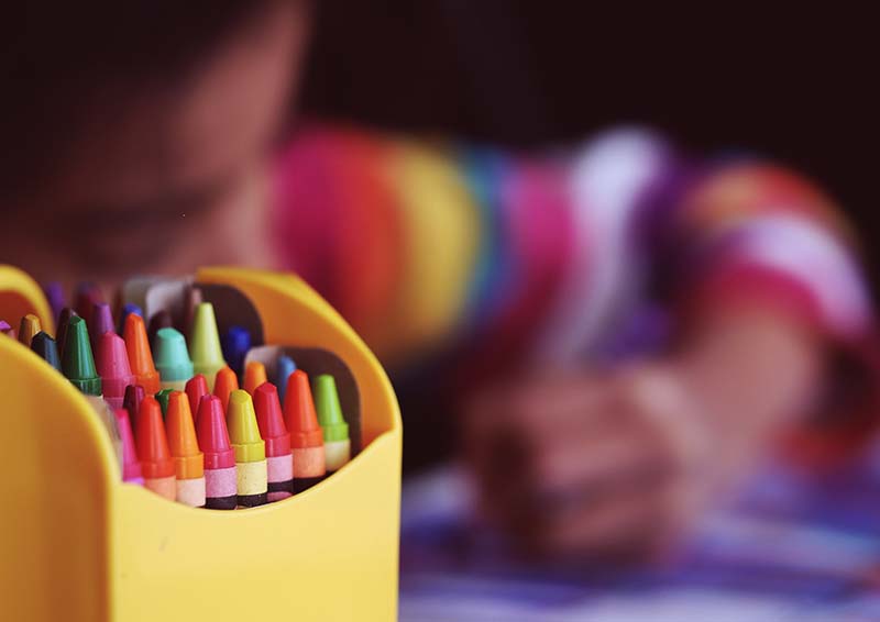 Pencil Case Organizer for kids – Shaketea