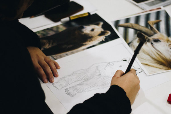 a teenager uses a reference photo of a bear to prepare a drawing for painting