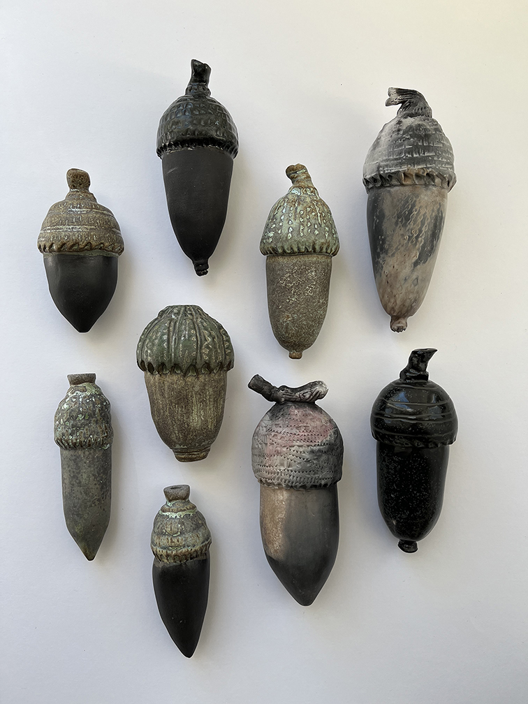 Photograph of several ceramic seed pods